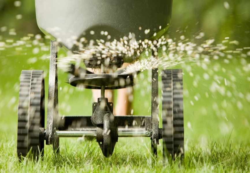 Is Aerating Your Lawn Necessary Before Fertilizing? Expert Insights
