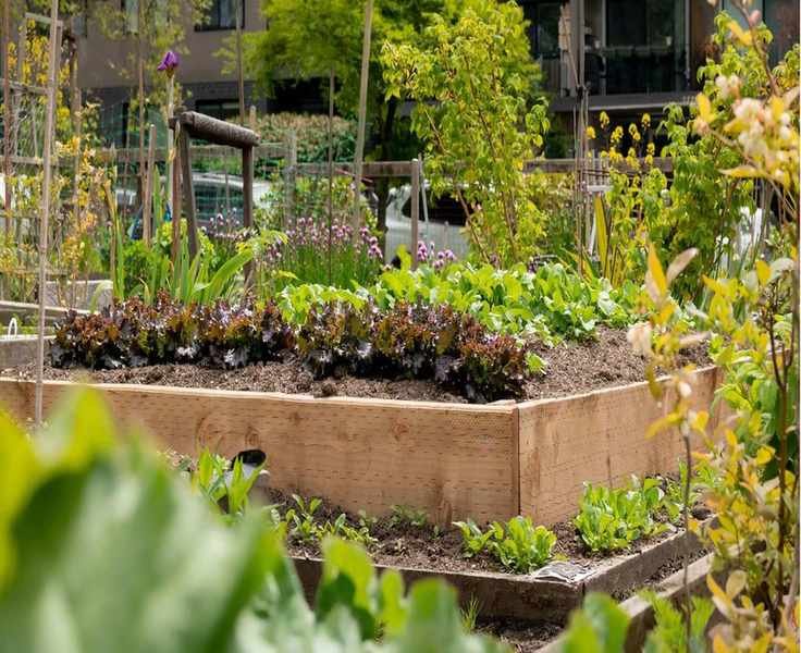 Fall Raised Garden Bed Strategies – 5 Creative Uses for Cooler Months