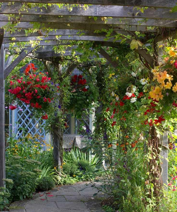 Garden path covered by wooden pergola with climbing plants
