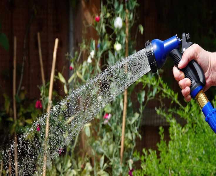 Understanding Deep Watering: Efficient Techniques for Healthier Plants