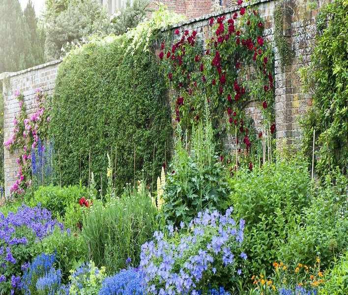Best Plants for North-Facing Walls: 11 Stunning Selections