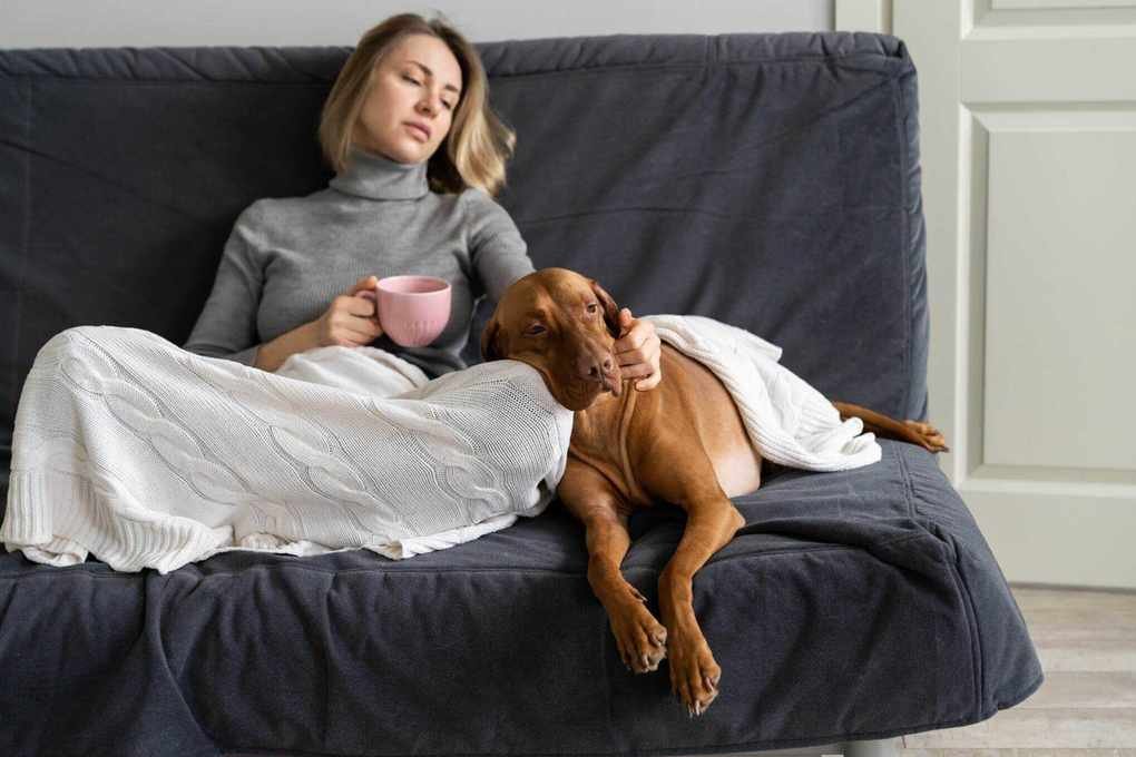 Financial Strategies to Safeguard Yourself During Divorce