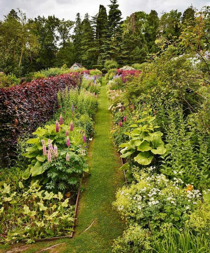 Flower and plant beds. Borders of lupins, Inula, Campanula and meadowsweet.