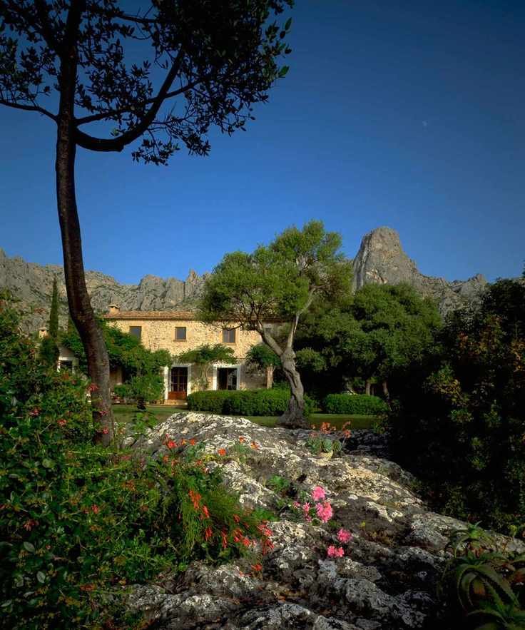Mediterranean garden courtyard with rockery