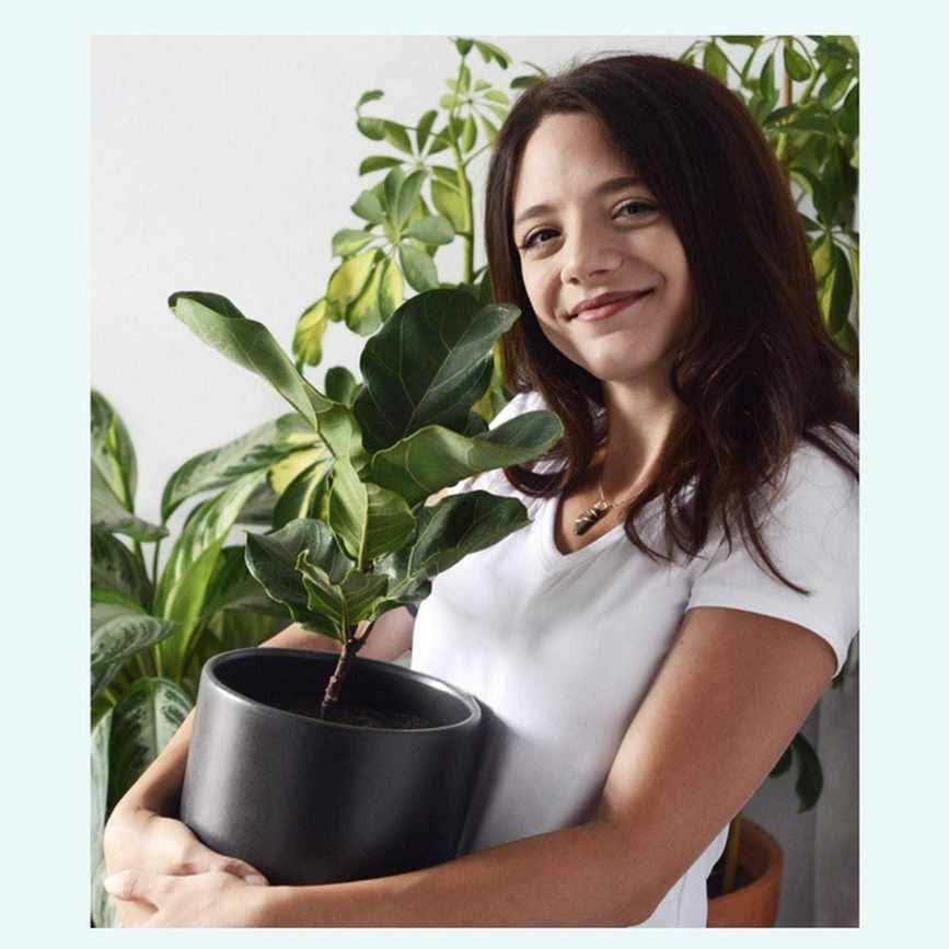 Plant care expert
