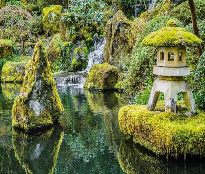 Five Key Characteristics of a Japanese Garden You Should Embrace