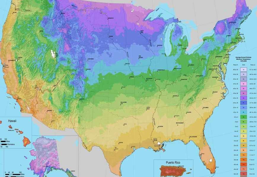 Understanding US Hardiness Zones for Successful Gardening