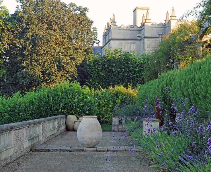 Drought-tolerant planting: 10 stunning border plants for dry conditions