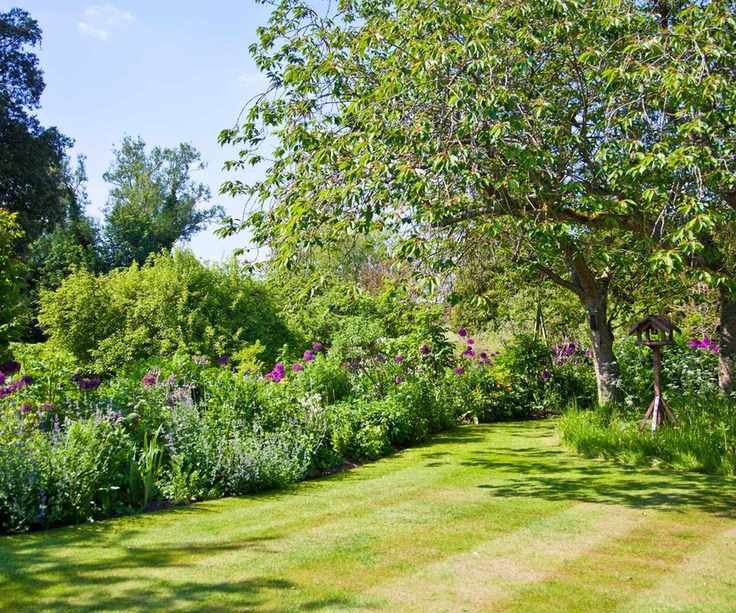 A lawn with lines mowed into it with a large tree