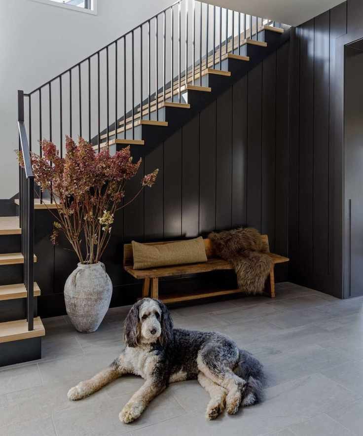 Dog on gray vinyl floor in front of dark grey walls, wooden stairs, bench with cushion and throw, and large flowers in vase in modern home entryway