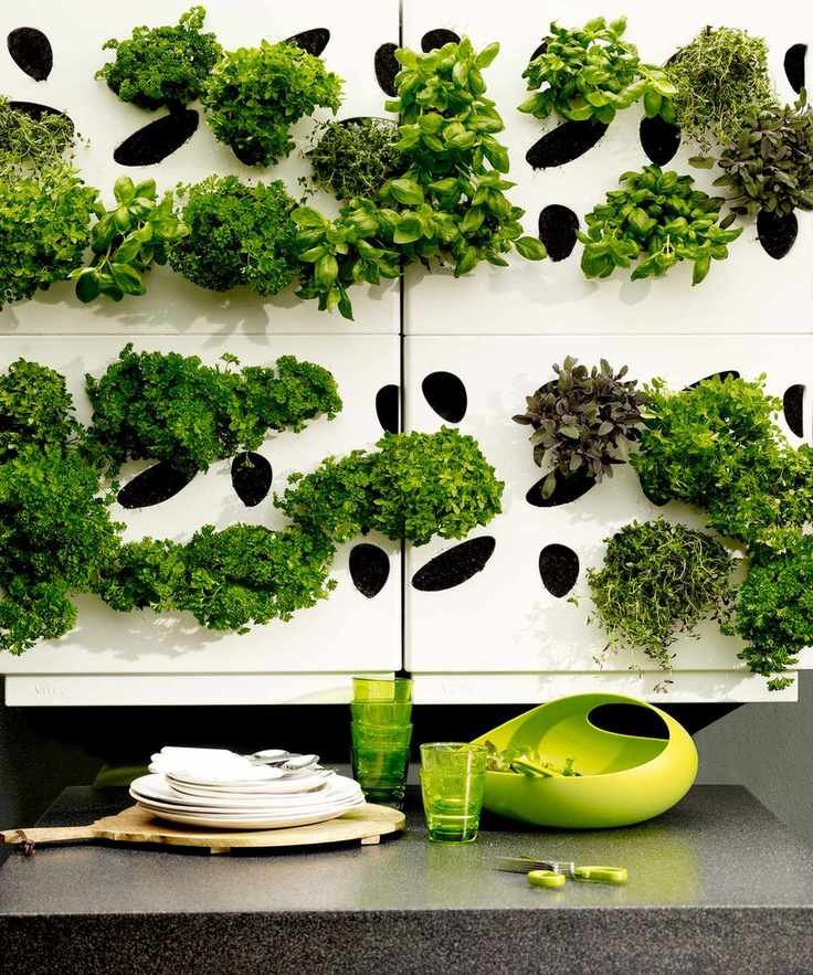 A white living wall designed for plant growth
