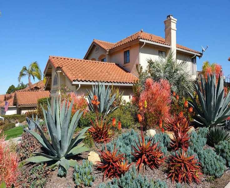 Crafting a Drought-Tolerant Yard: A 5-Step Strategy for Water Efficiency