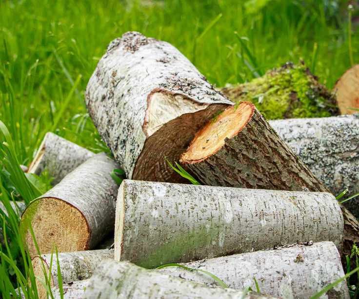 stack of logs