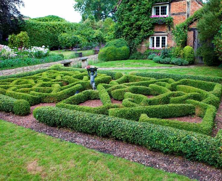 evergreen shrubs used to create parterres