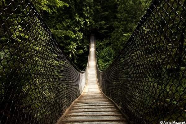 Vancouver Top 5: Lynn Canyon Suspension Bridge