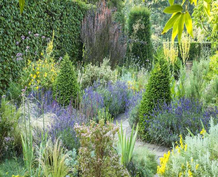 Planning a Dry Garden: Tips for Sustainable Landscaping