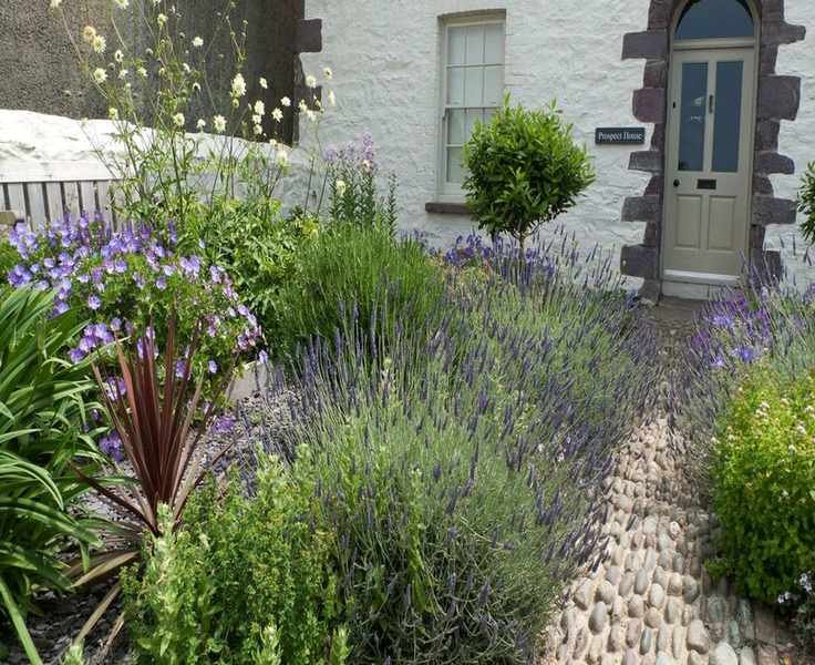 Charming Front Yard Plants: 16 Easy Choices for Stunning Appeal