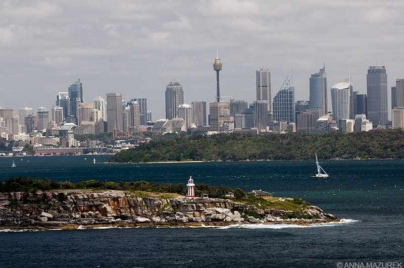 Battling a Massive Spider in Sydney: A Terrifying Experience