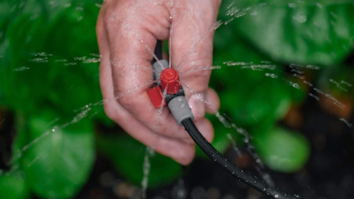 Choosing Between Drip Irrigation Systems and Soaker Hoses for Summer Watering