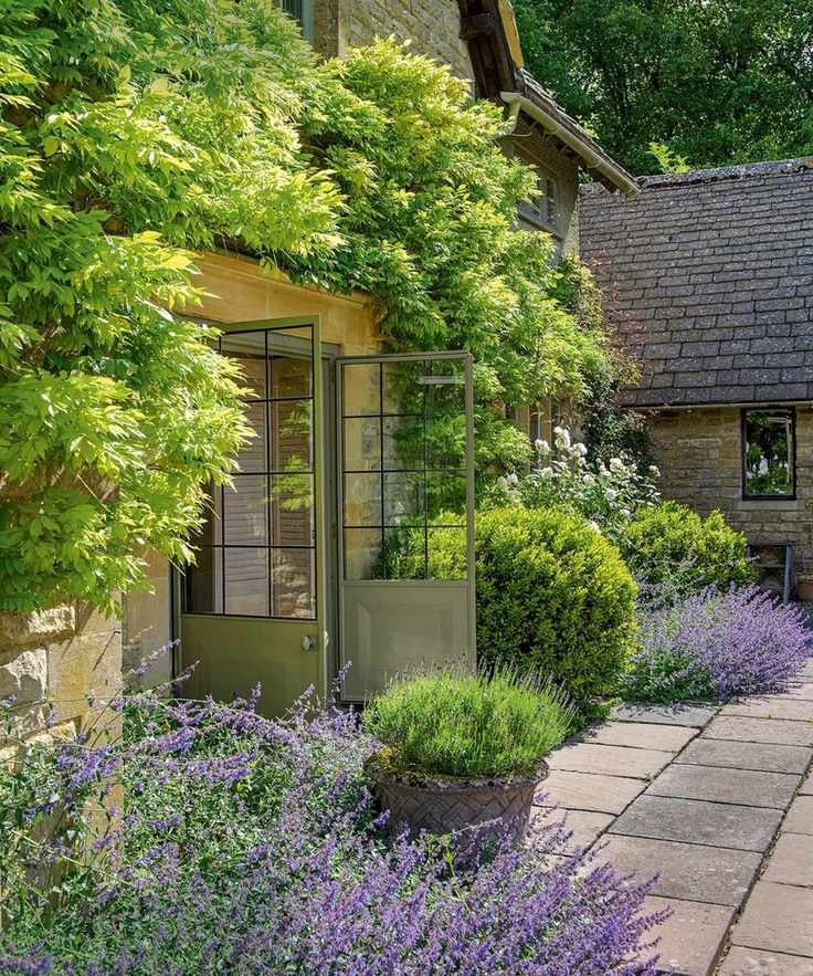 lavender bushes planted round doorway