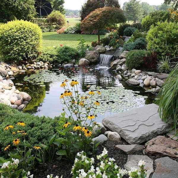 Oxygenating pond plants