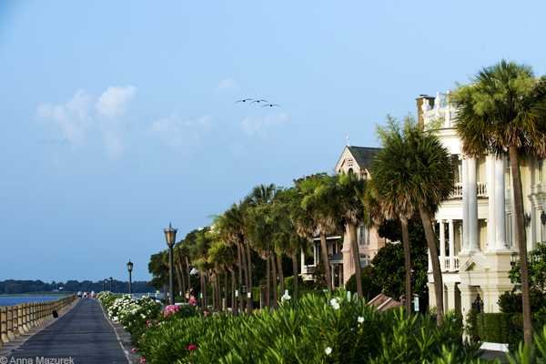 Top 5 Must-See Attractions on Your Charleston Road Trip