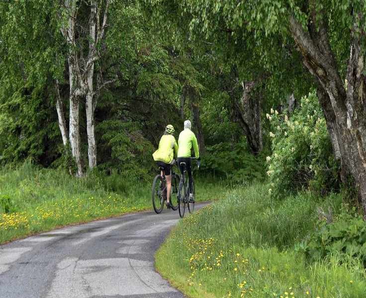 Planning Retirement Income to Ensure Longevity and Wellness