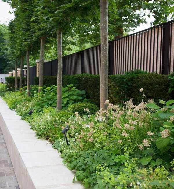 Raised garden bed ideas with a pale stone wall and a row of trees.