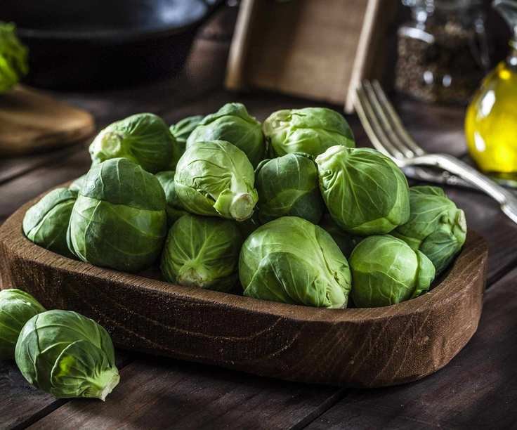 Freshly harvested Brussels sprouts ready for cooking