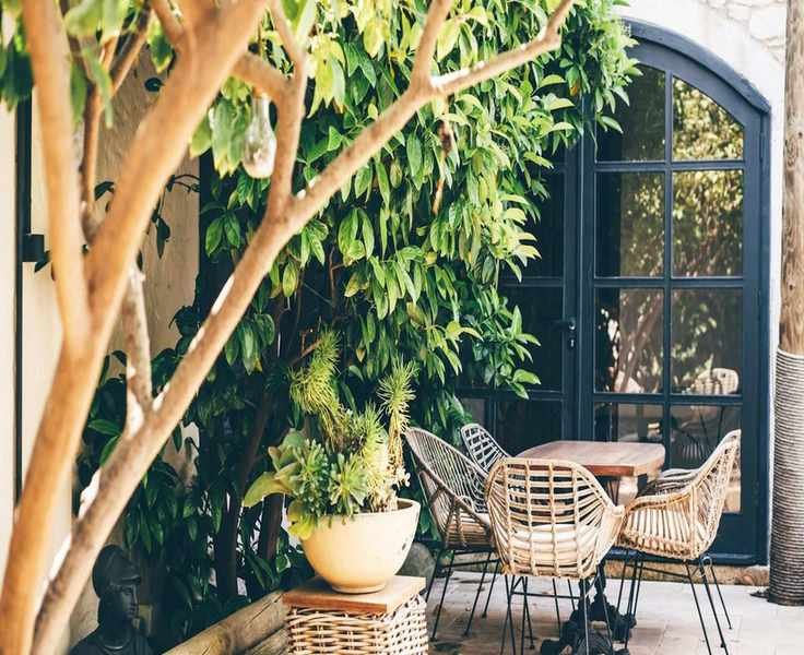Elegant Courtyard Garden Ideas: 17 Inspiring Designs for Your Space