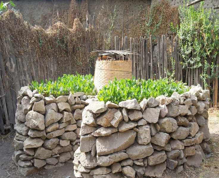 Keyhole Gardening: Transform Your Backyard with This Sustainable Method