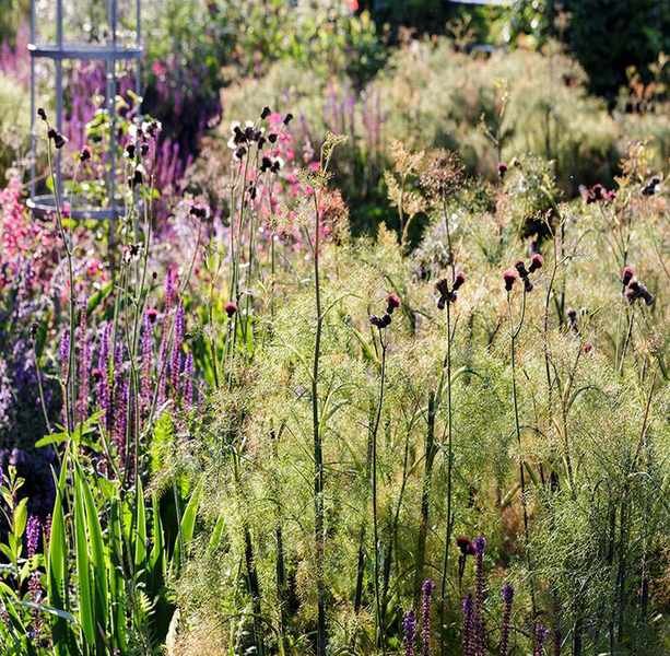 Instagram garden ideas