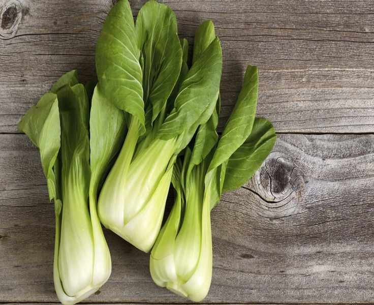 Growing Bok Choy: A Cool-Weather Vegetable for Continuous Harvests
