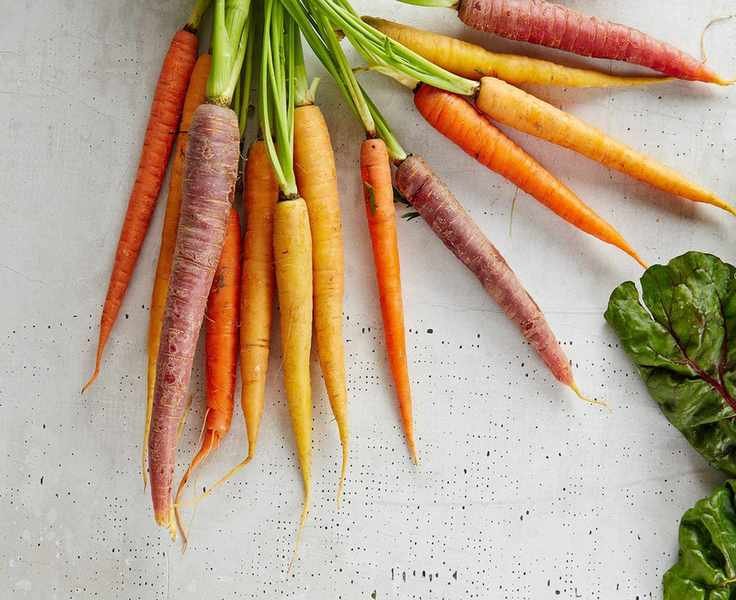 companion planting carrots unsplash gabriel gurrola
