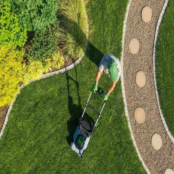 best lawn mower being pushed on front lawn by man