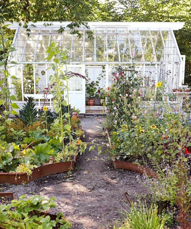 white greenhouse behind vegetable beds