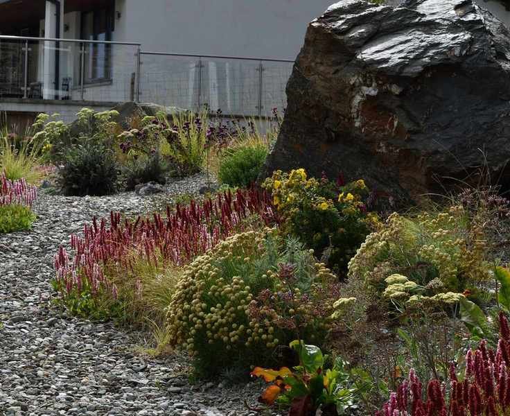 garden border landscaped with rocks and plants