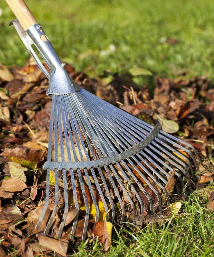 Garden rake
