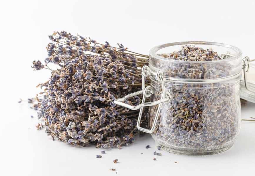 Drying Lavender: 4 Easy Steps to Boost Its Aroma at Home