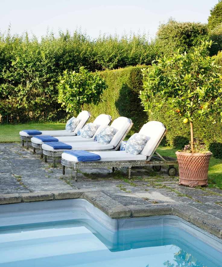pool patio with container citrus tree in garden