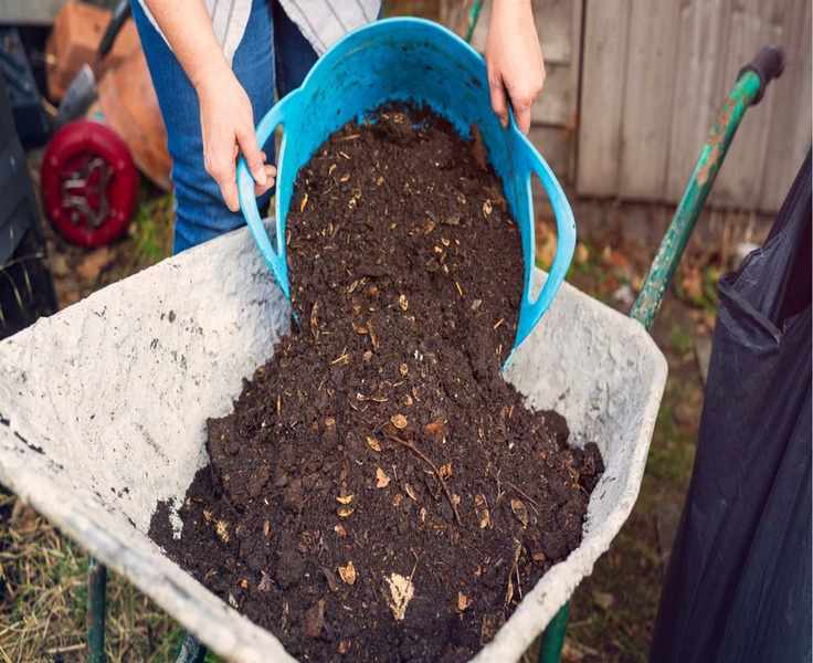 Stop Compost Odors: 5 Effective Ways to Keep Your Bin Fresh