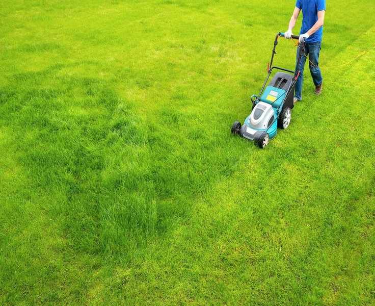 Top 5 Electric Lawn Mowers for Every Expertise Level