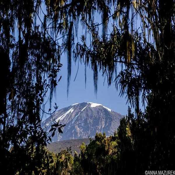 Kilimanjaro Insights: Costs, Routes, and Essential Packing List