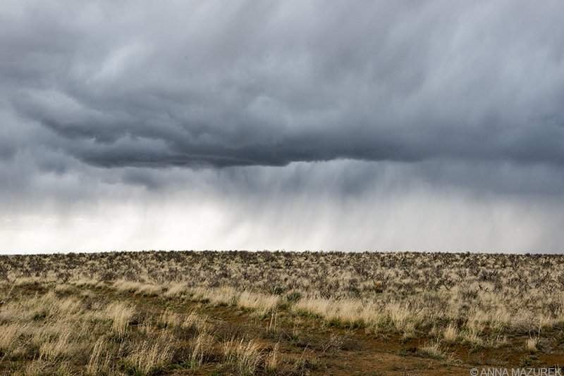 4 Strategies for Handling Challenging Travel Days and Spiders