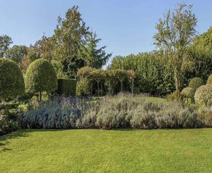 Timing Your Lawn Dethatching for Optimal Growth