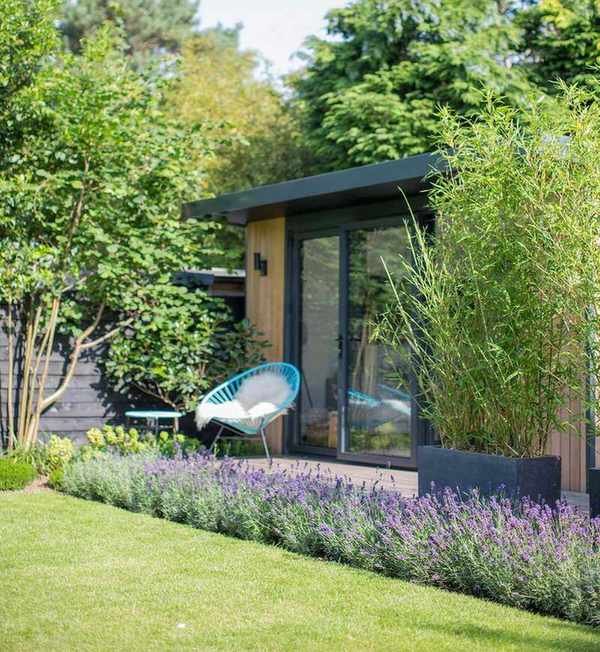 garden with bamboo in pots