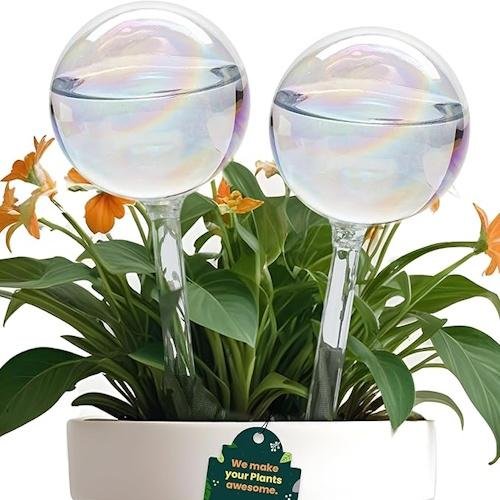Amazon watering globes