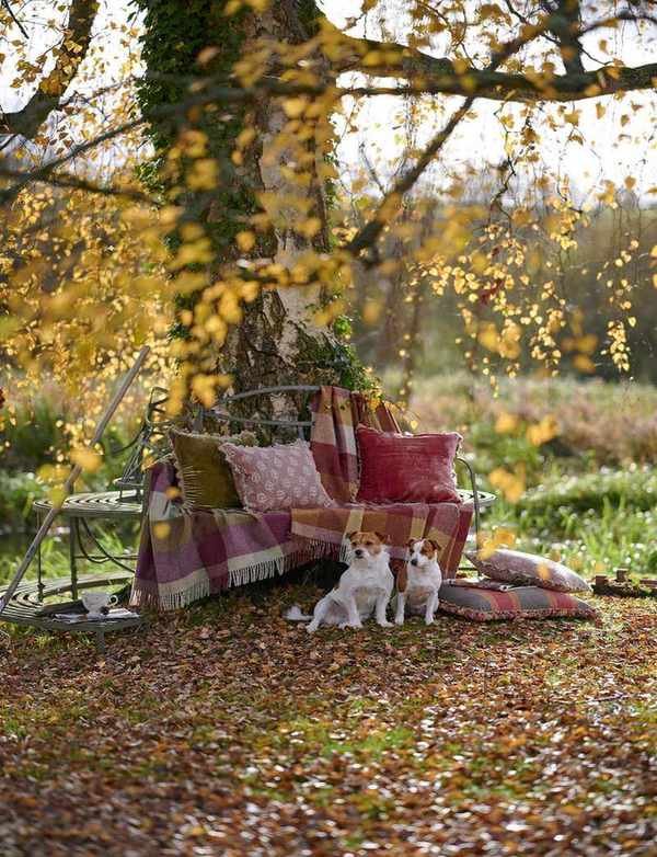 bench around tree with cushions and blankets on the bench