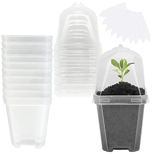 Clear plastic nursery pots with humidity domes