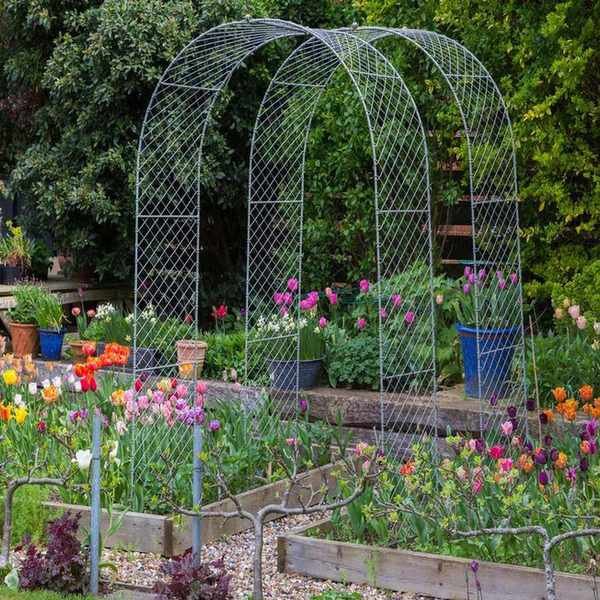 Tulip test beds grown by Zinnia Design